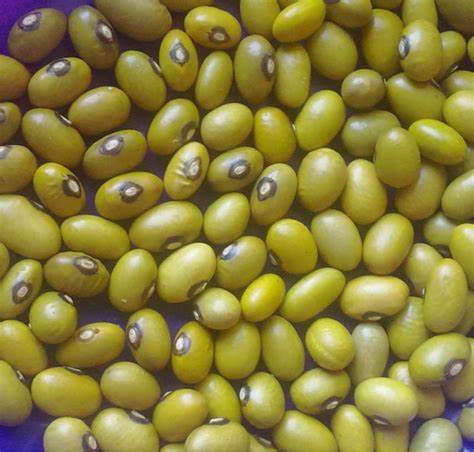MASHAMBA Yellow Beans 1 kg