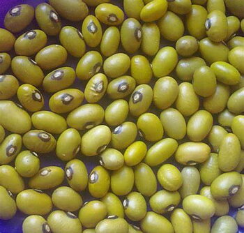 MASHAMBA Yellow Beans 1 kg
