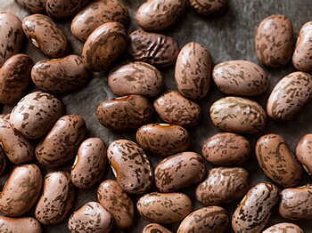 MASHAMBA Pinto Beans 1kg