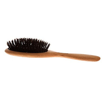  Hair brush-iris craft