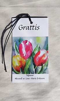 Enkla gratulationskort