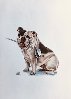 Dogleg 13x18 cm