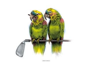 Green birdies 13x18 cm