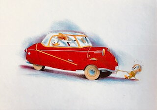 Messerschmidt 13x18 cm