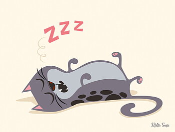 Millis Sarri, affisch 30x40 cm, Sleepy cat.
