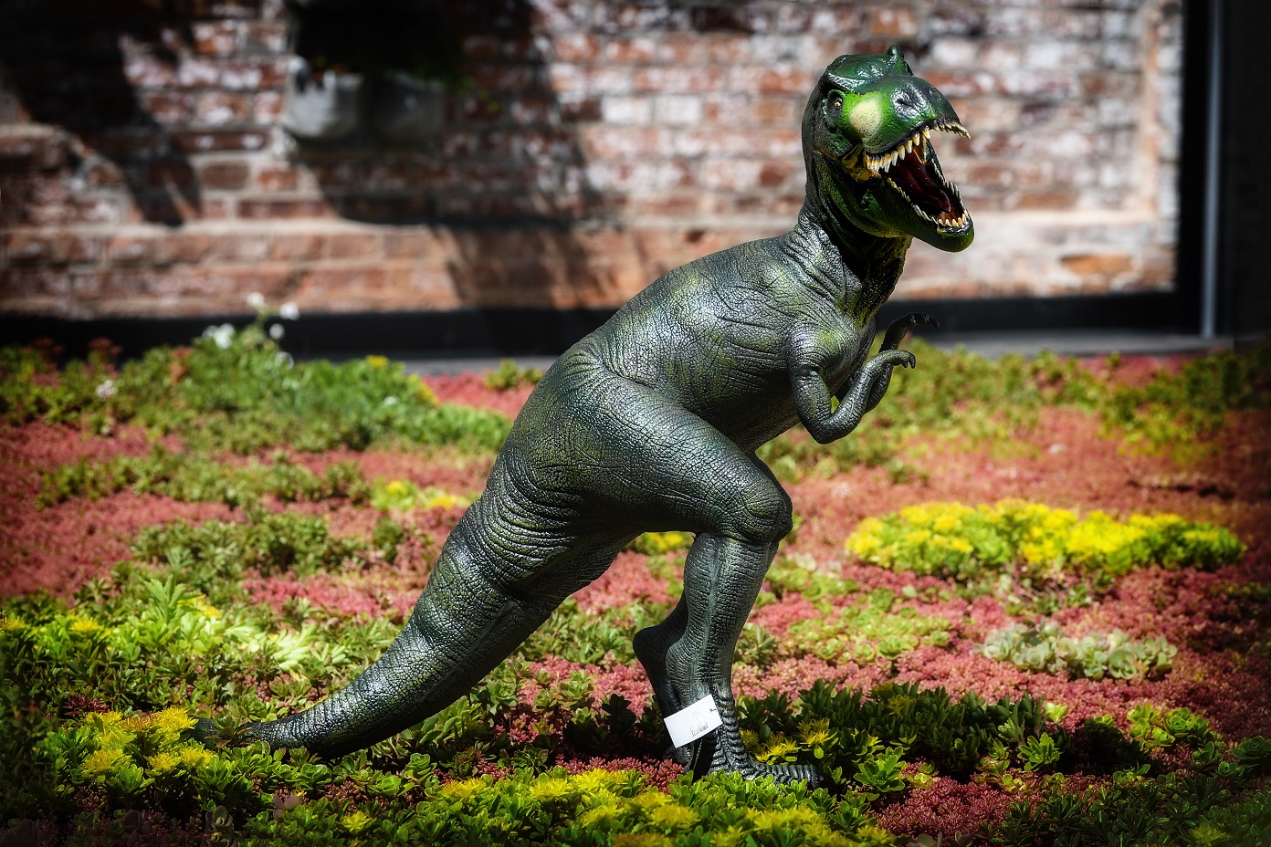 Dinosaurie T-rex i naturgummi XXXL - 5