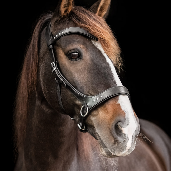 Bitless bridles, NH and riding pads  