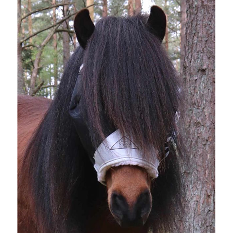 Shires Flughuva utan Öron