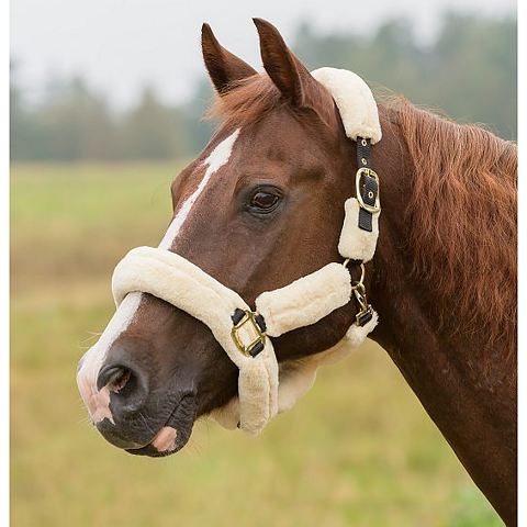 Grimma Cozy med syntetpäls - pony, cob