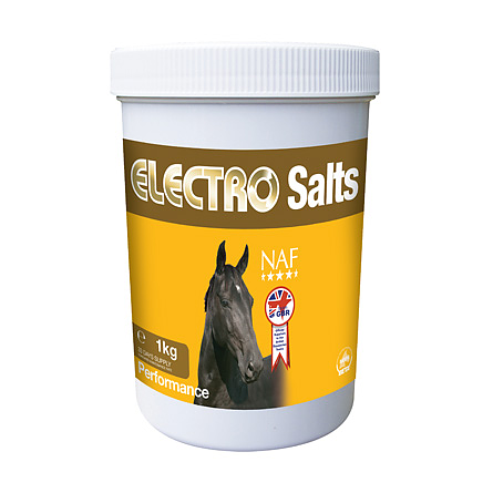 Electro salter 1 kg