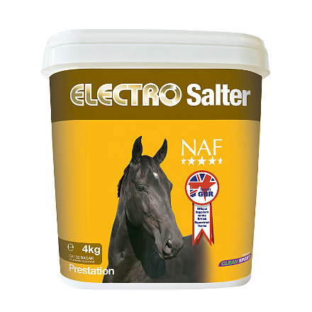Electro salter 1 kg