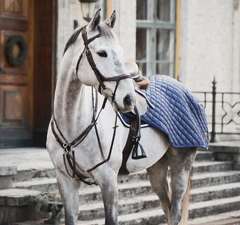 Lippo Riding Rug