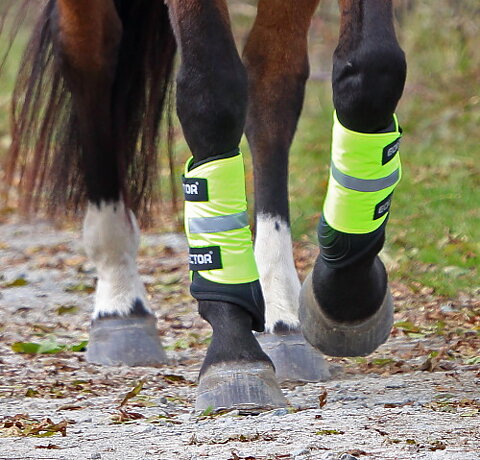 EQUI-FLECTOR® Wraps - ÄVEN I GUL OCH ROSA