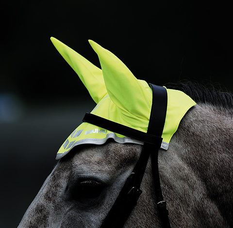 EQUI-FLECTOR® Huva - ÄVEN I ROSA OCH GUL