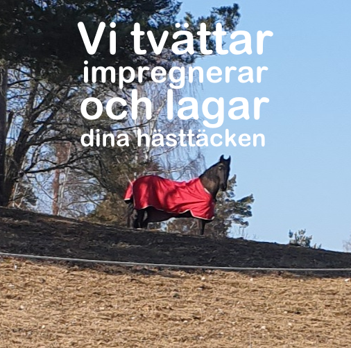 TVÄTT AV HÄSTTÄCKEN  
