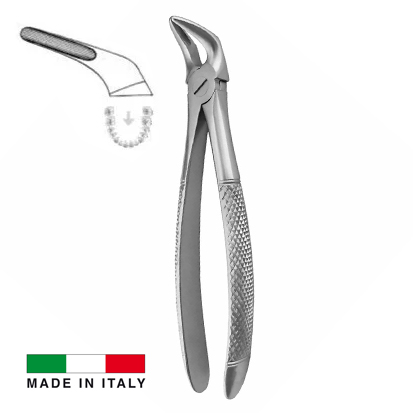 ASA® Extraktionstång Lower Incisors and Roots No.31