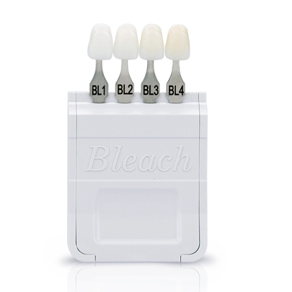 Ivoclar Shade Scale Bleach, 1 st 