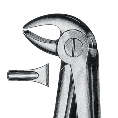 Extraktionstång, no.13 UK premolar