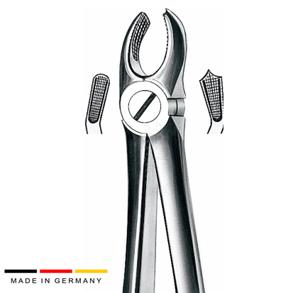Carl Martin® Forceps Lower no.17 Upper Molar Right