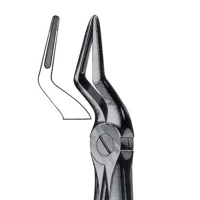Extracting Forceps, no.51L Upper Roots Long 