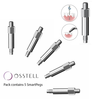 SmartPeg för Osstel® BEACON+ stabilitetskontroll