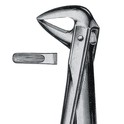 Extracting Forceps, no.74 Lower Roots
