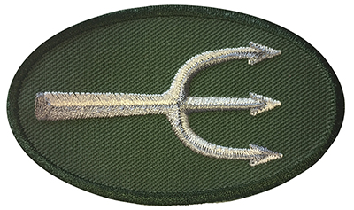 Tygmärke Treudd Grön/Silver m kardborre