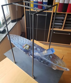 Båt Mellan Huvud och Stav 