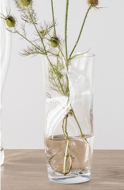 Squeeze Vase Small Clear