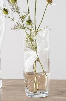 Squeeze Vase Small Clear