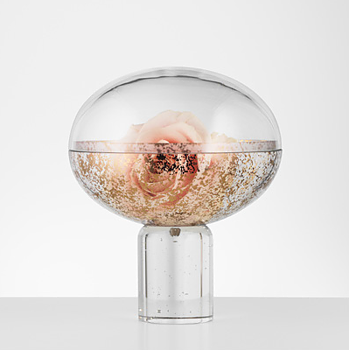 Rose Hiding Golden Leafs