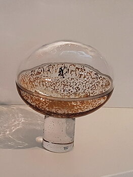 Rose Hiding Golden Leafs