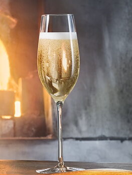 Merlot Champagne Glass 