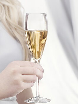 More Champagneglas Flute 4-pack