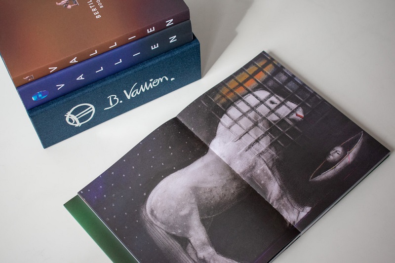 Bok Samlade Verk Bertil Vallien - 9