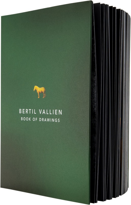 Bok Samlade Verk Bertil Vallien - 5