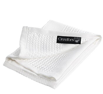 Polishing cloth White