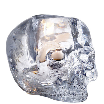 Still Life Votive Clear Skull