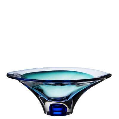 Vision Bowl Blue