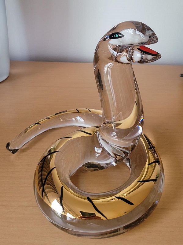 Snake My First Friend - Limited - 3