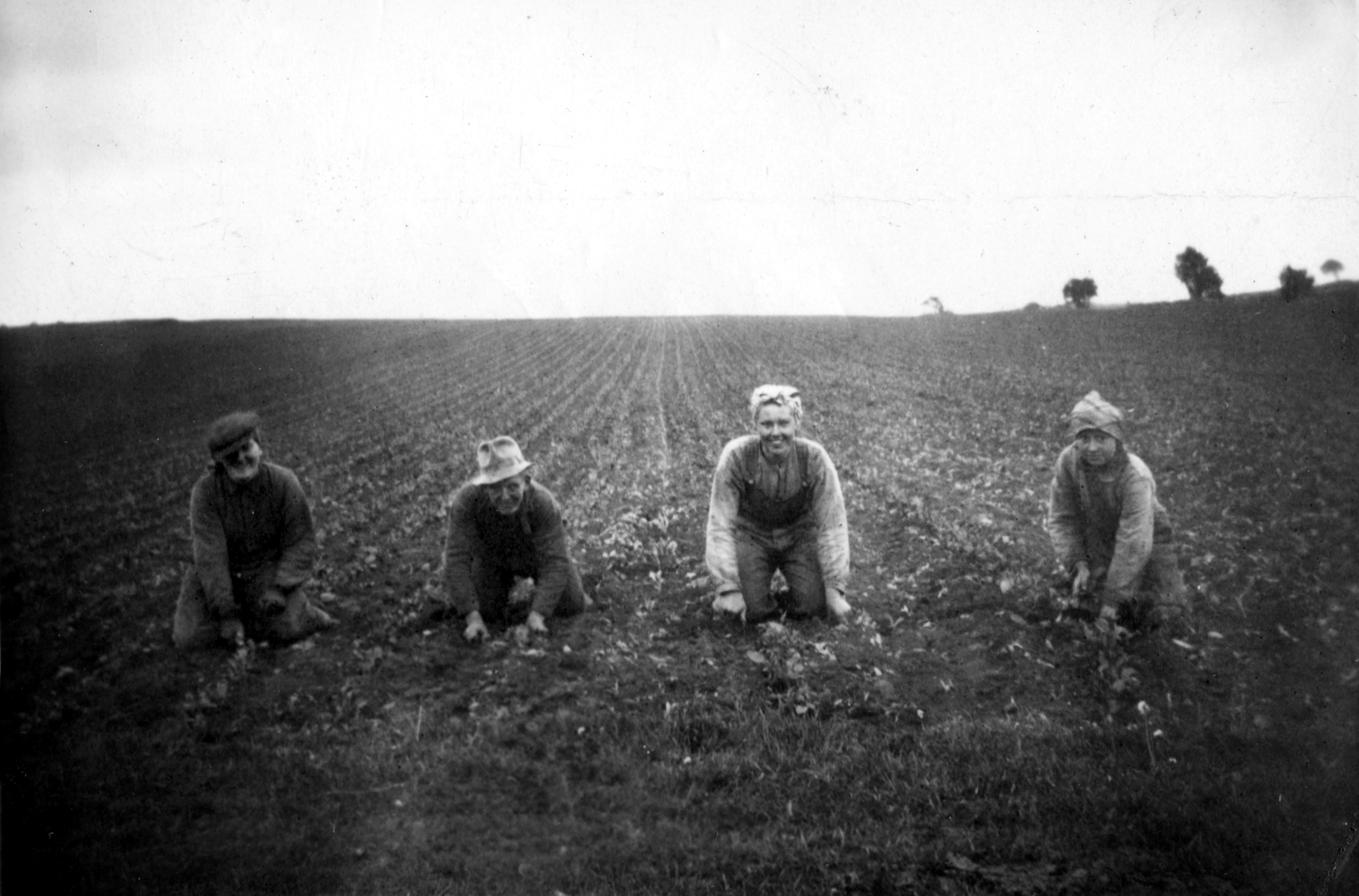 Bilder från förr - 63