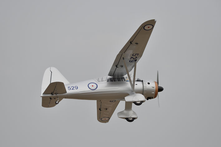 Phoenix Westland Lysander - 320 cm - 6