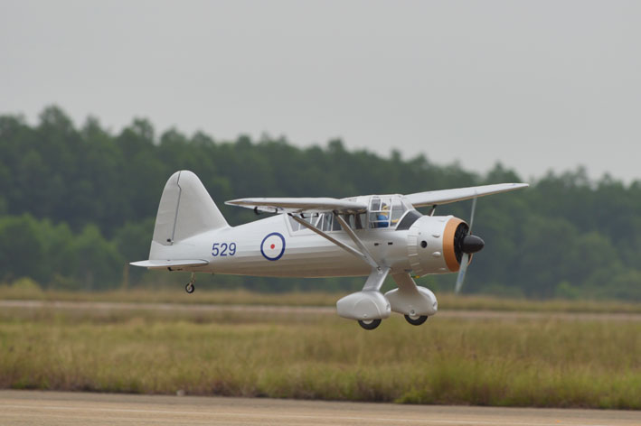Phoenix Westland Lysander - 320 cm - 9