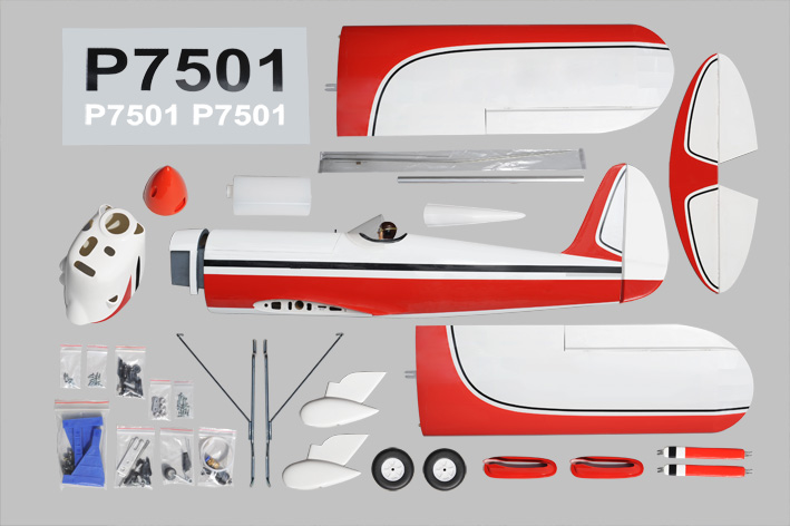 RYAN 55 sp.1800mm - 9