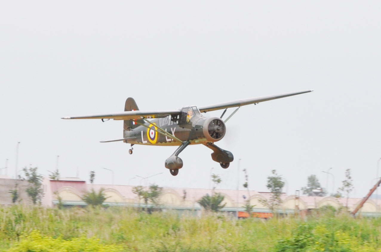 Blackhorse Westland Lysander - 254 cm BH170 - 2