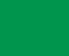 RC STYRO 311 EMERALD Spray 150ml EPP