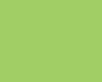 RC STYRO 1008 FLUOR GREEN Spray 150ml EP