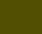 RC STYRO 313 CAMOUFLAGE GREEN Spray 150ml EP