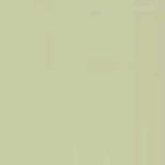 ORACOVER Creme 2 meter