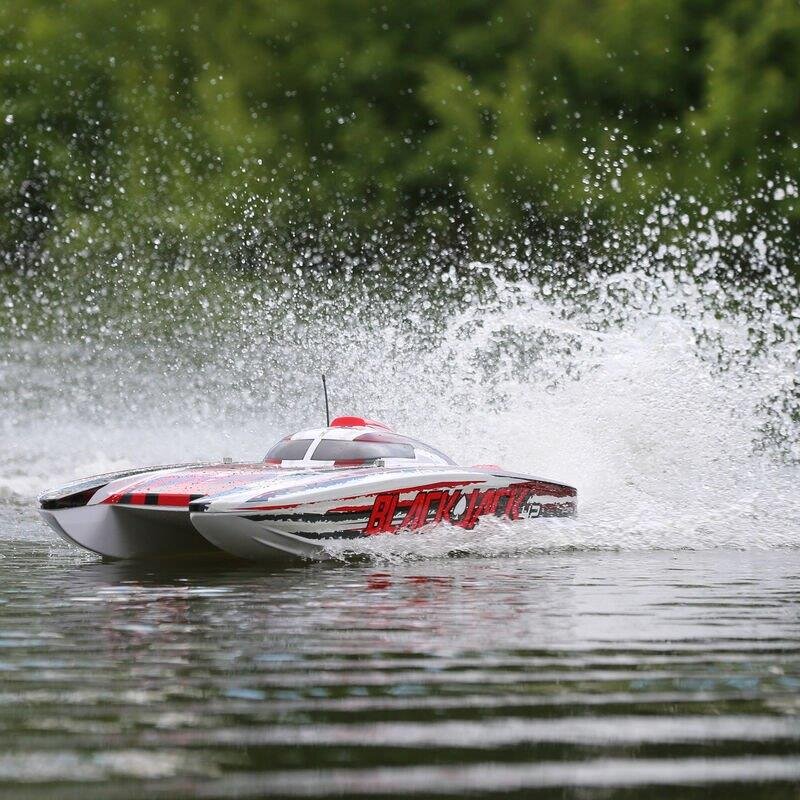 PROBOAT Blackjack 42tum Brushless 8S Cat.WHT/RED:RTR - 2